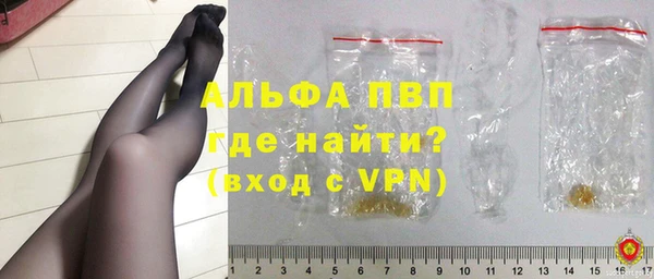 стафф Кодинск