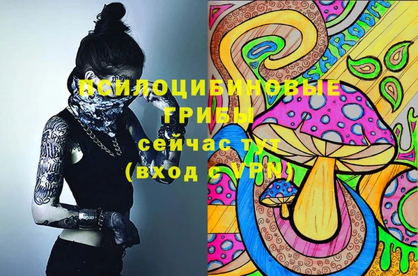 стафф Кодинск