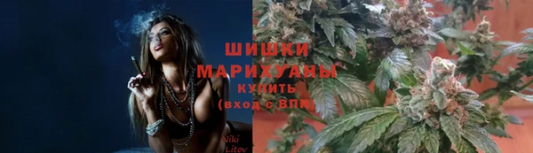 прущая мука Козловка