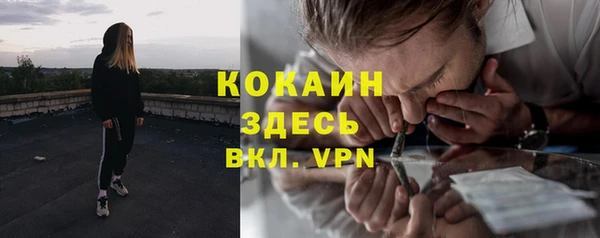 прущая мука Козловка