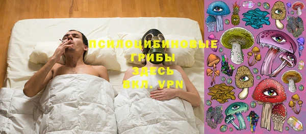 не бодяженный Козельск