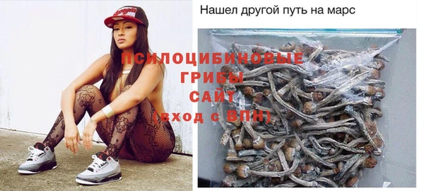 прущая мука Козловка