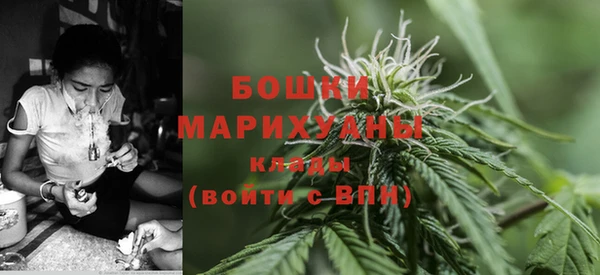 прущая мука Козловка