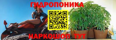 a pvp Заволжье