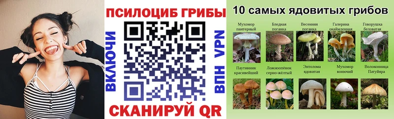 Псилоцибиновые грибы Magic Shrooms  blacksprut как войти  Нижнекамск 