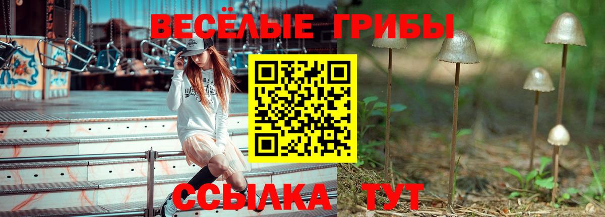 Нижнекамск  Псилоцибиновые грибы Cubensis  Псилоцибиновые грибы Psilocybine cubensis  Вход с VPN 