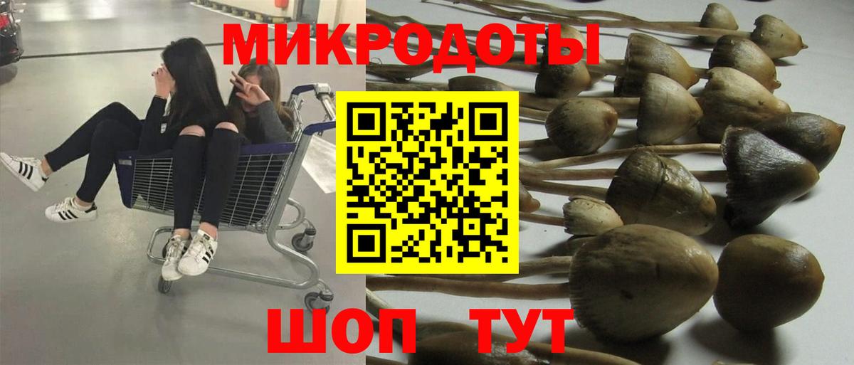 Галлюциногенные грибы ЛСД Нижнекамск